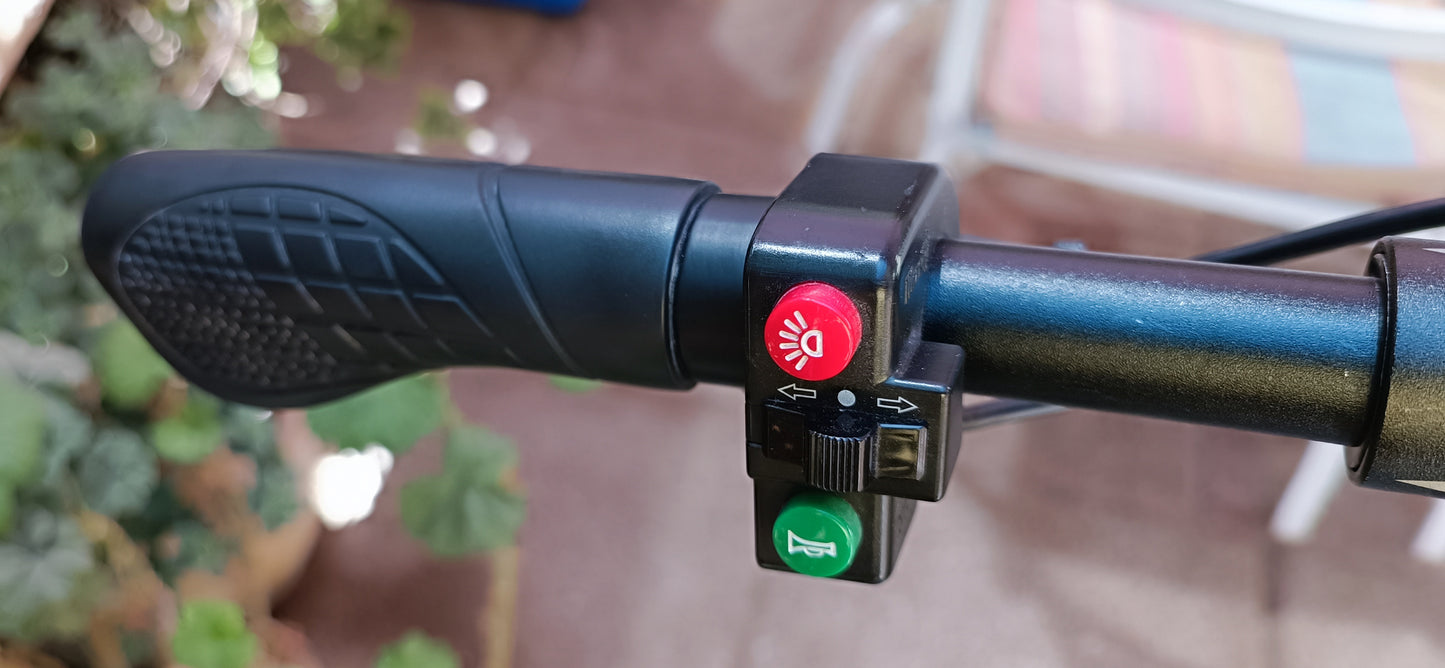 Scooter Eléctrico Shengte 2000w 48v 23ah (Usado)